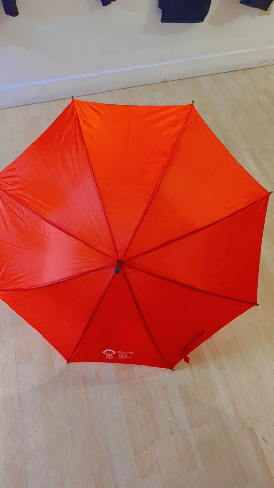 Red Umbrella - photo 2