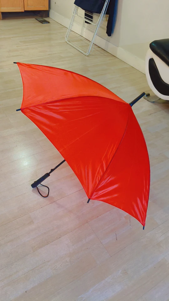 Red Umbrella - photo 3