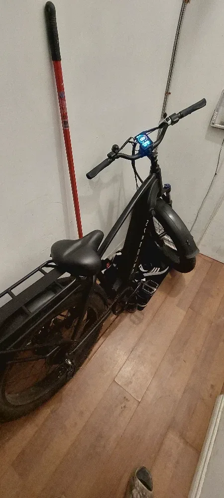 Delorean E-Bike image indicator(4)