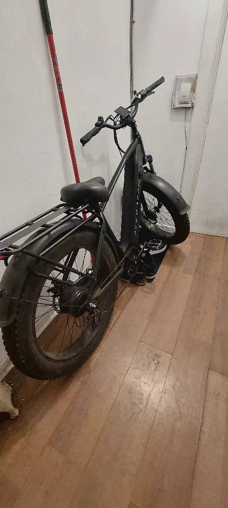 Delorean E-Bike image indicator(3)