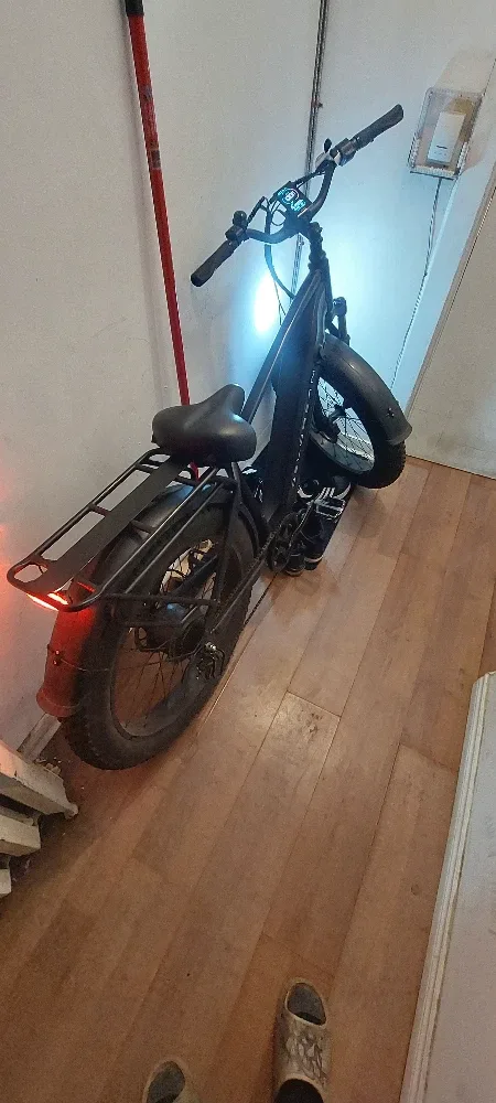 Delorean E-Bike image indicator(5)