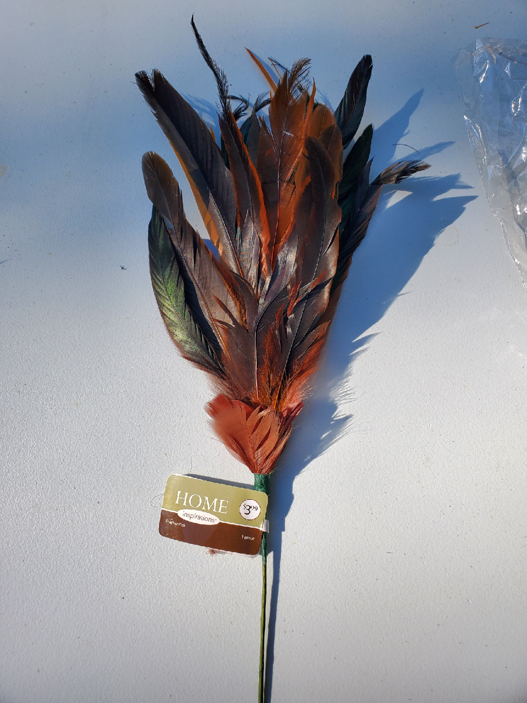 Home Inspirations Decorative Feather Pick - photo 2