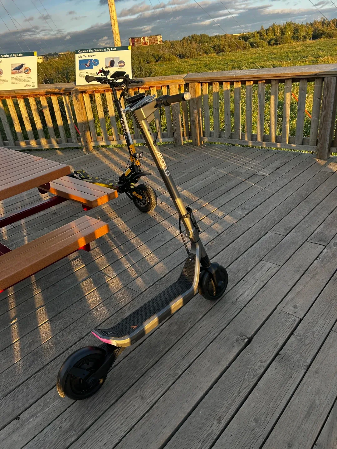 Apollo Go 2025 Electric Scooter