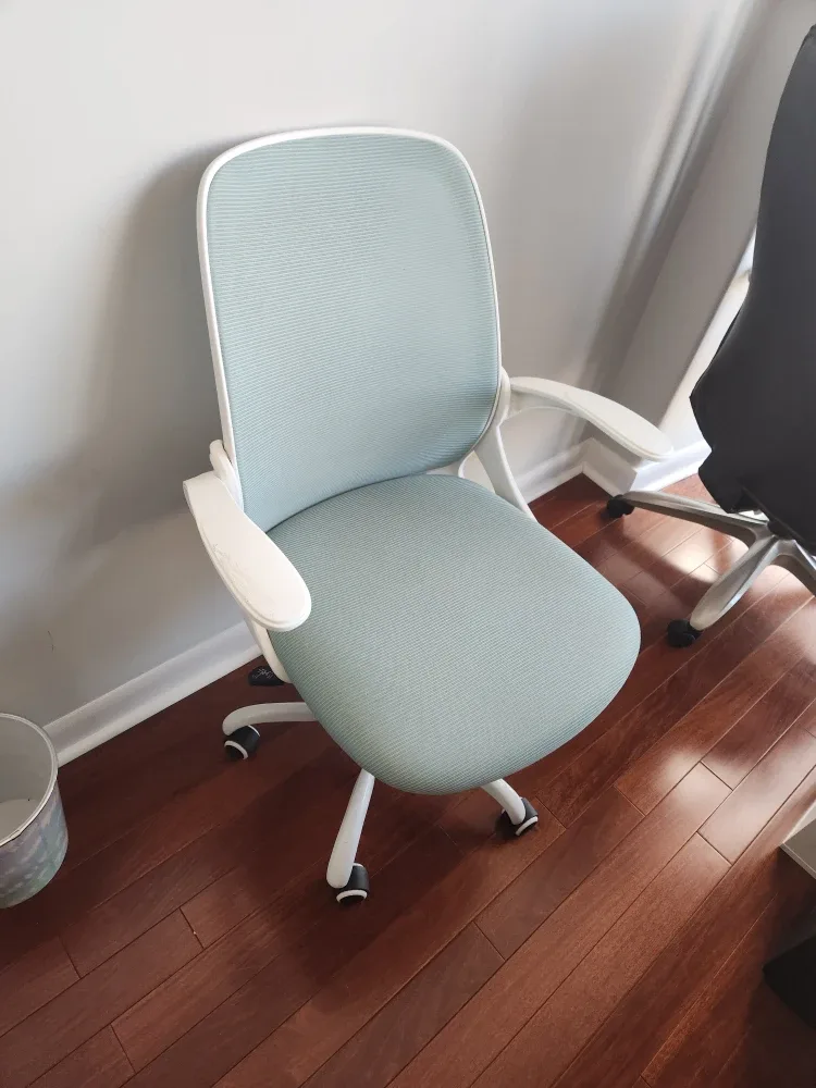 Branch Ergonomic Office Chair - Light Blue
