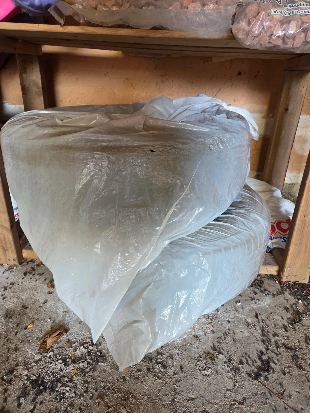 Set of 4 Firestone Winter tires on rims. image indicator(7)