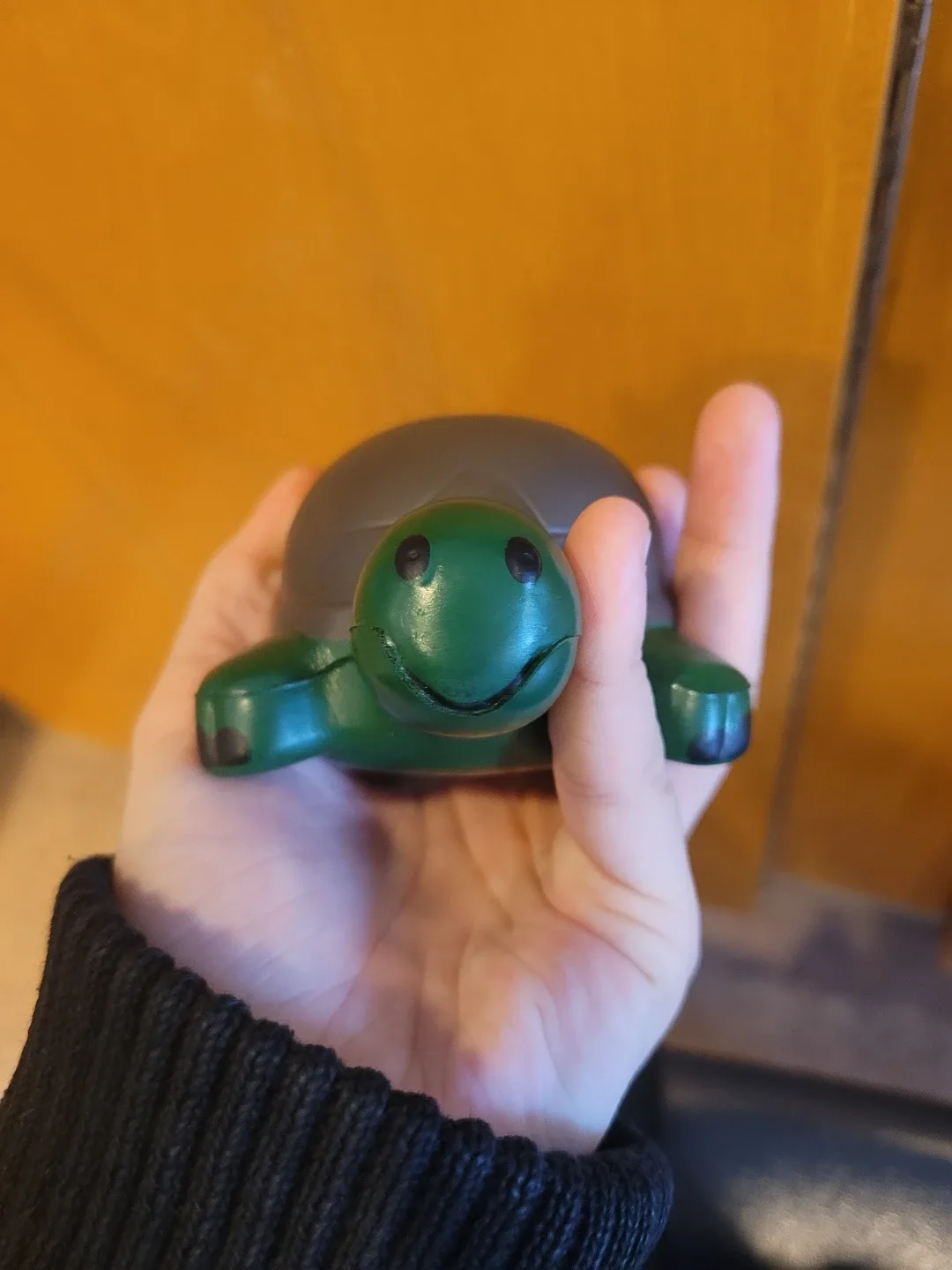 Turtle Stress Ball - Durham College image indicator(6)