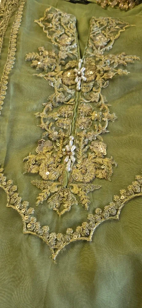 Embroidered Green Dress image indicator(2)