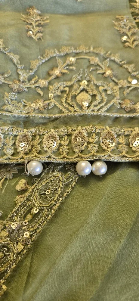 Embroidered Green Dress image indicator(3)