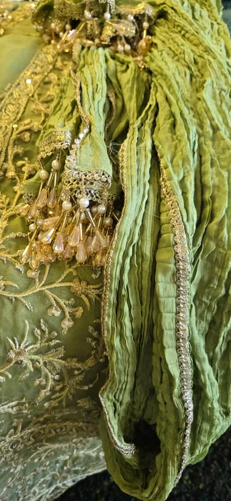 Embroidered Green Dress image indicator(6)