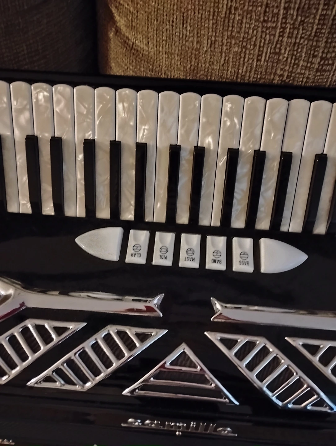 Mid-sized 🪗 Accordion - photo 2