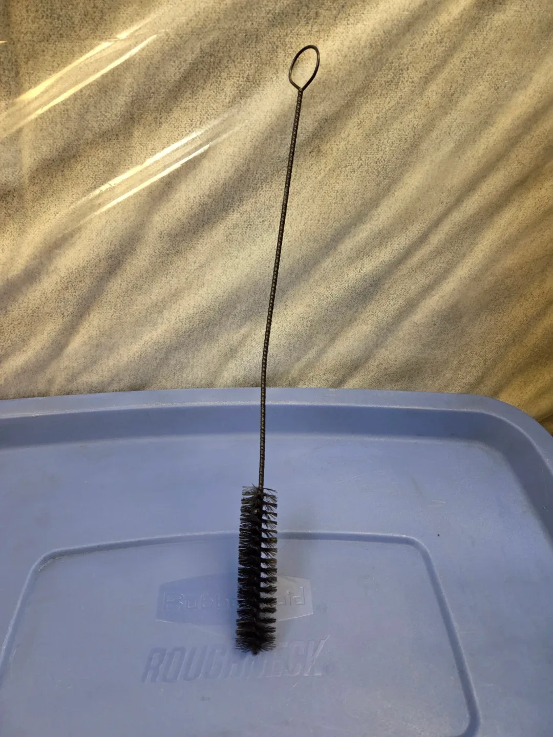 14" Bottle Brush  🥕 image indicator(2)