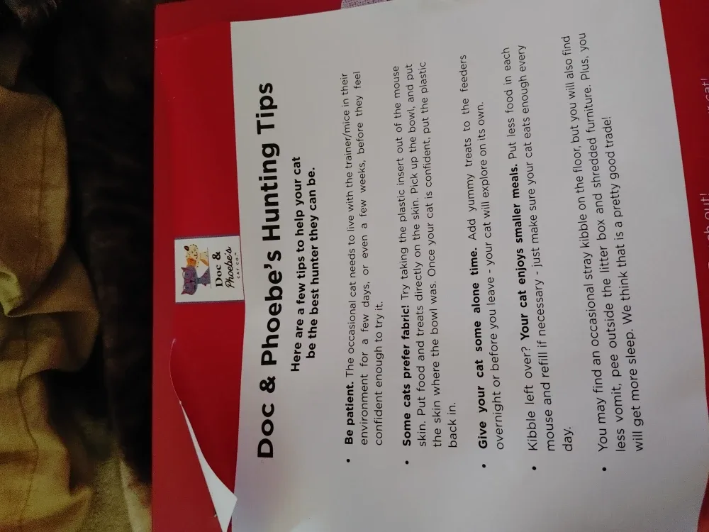 Doc & Phoebe's The Hunting Feeder for Cats image indicator(2)