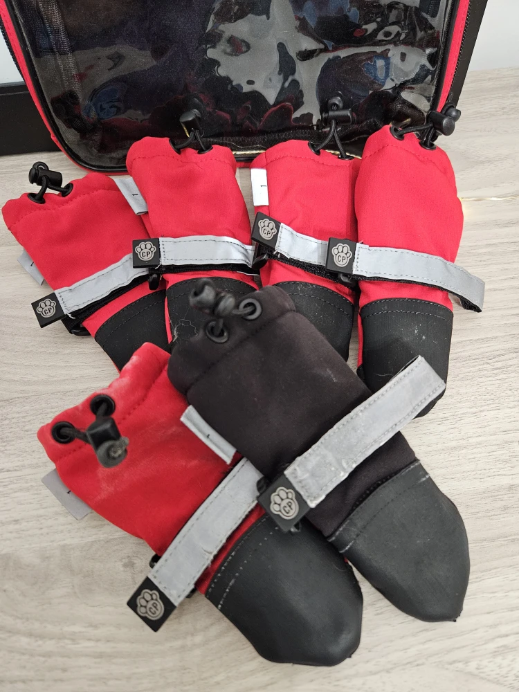 Canada Pooch Boots - Size 1 - 6 pcs
