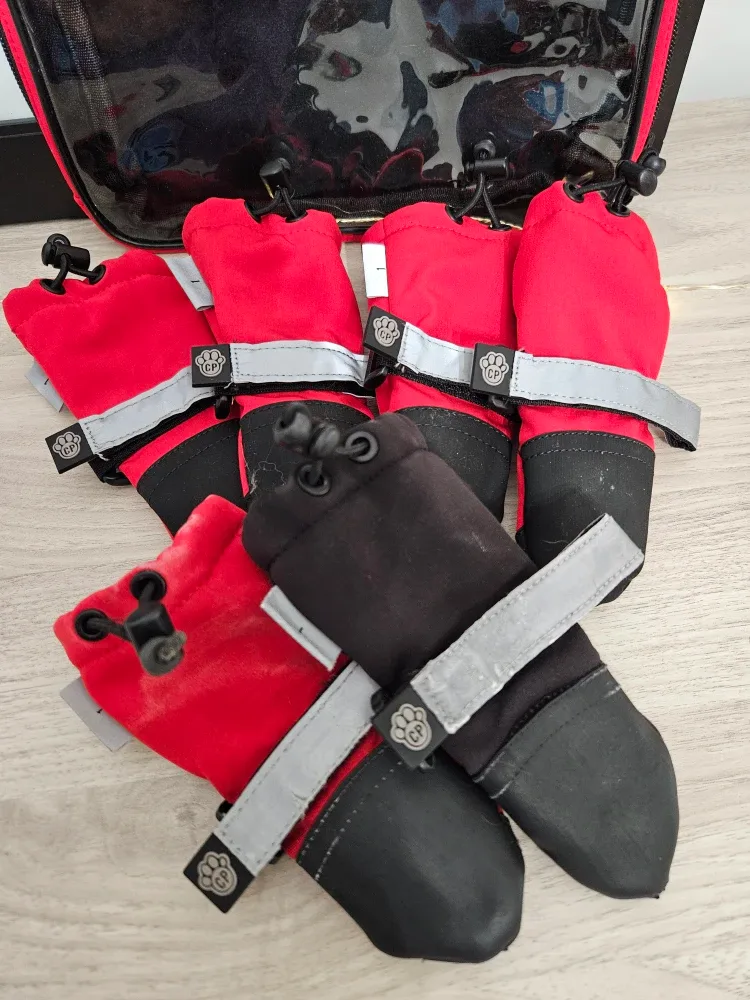 Canada Pooch Boots - Size 1 - 6 pcs