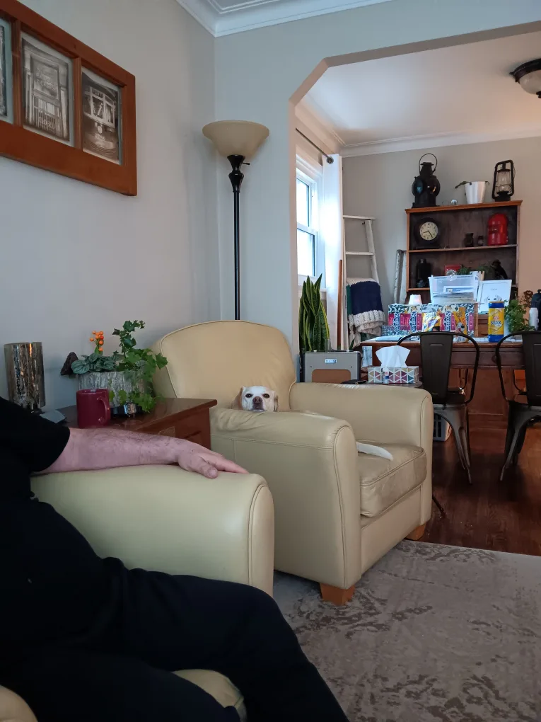 Leather Armchairs image indicator(3)