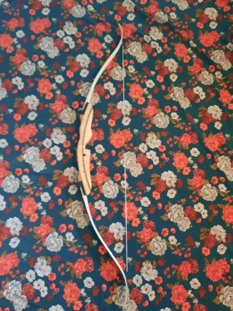 Razorback Recurve Bow