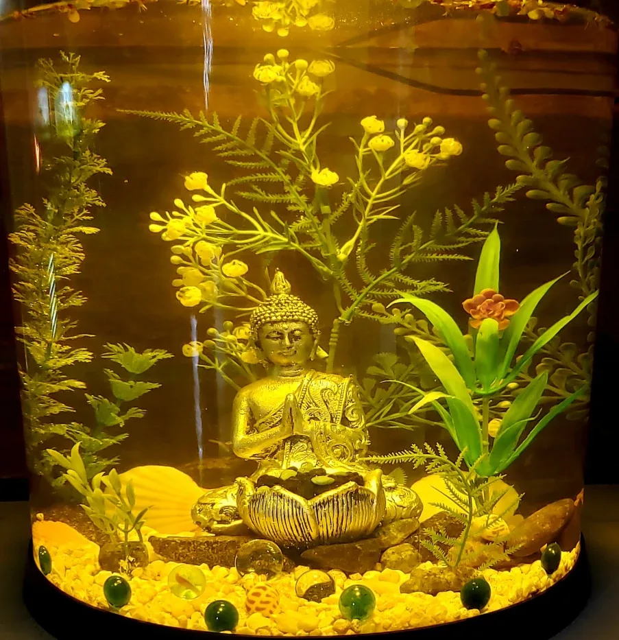 Corner Aquarium, great for smaller spaces