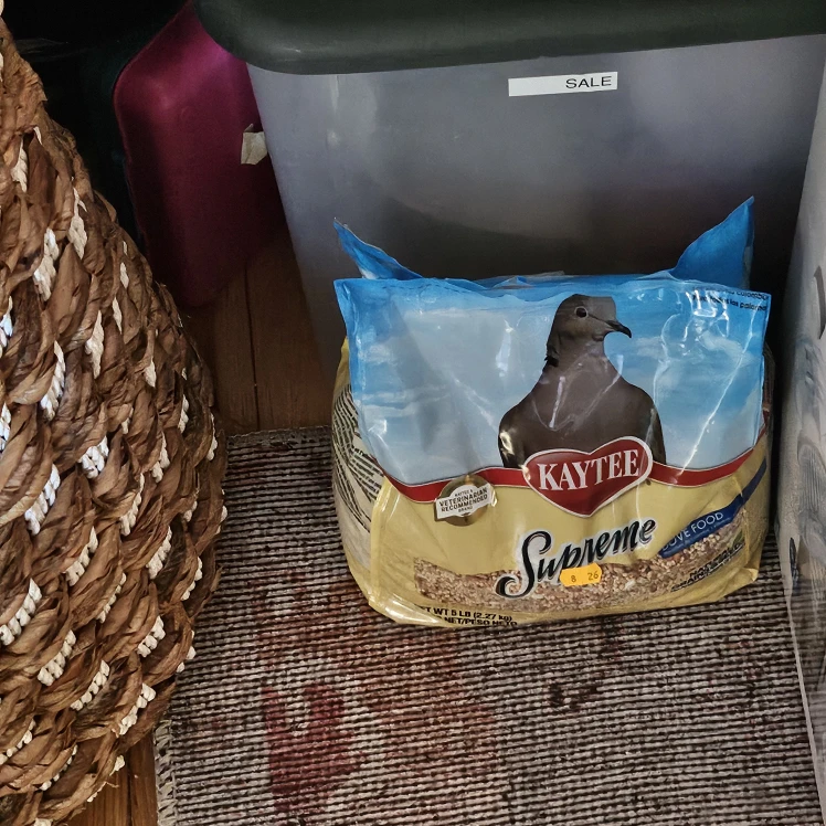 Kaytee Supreme Dove Food 5 lb Bag