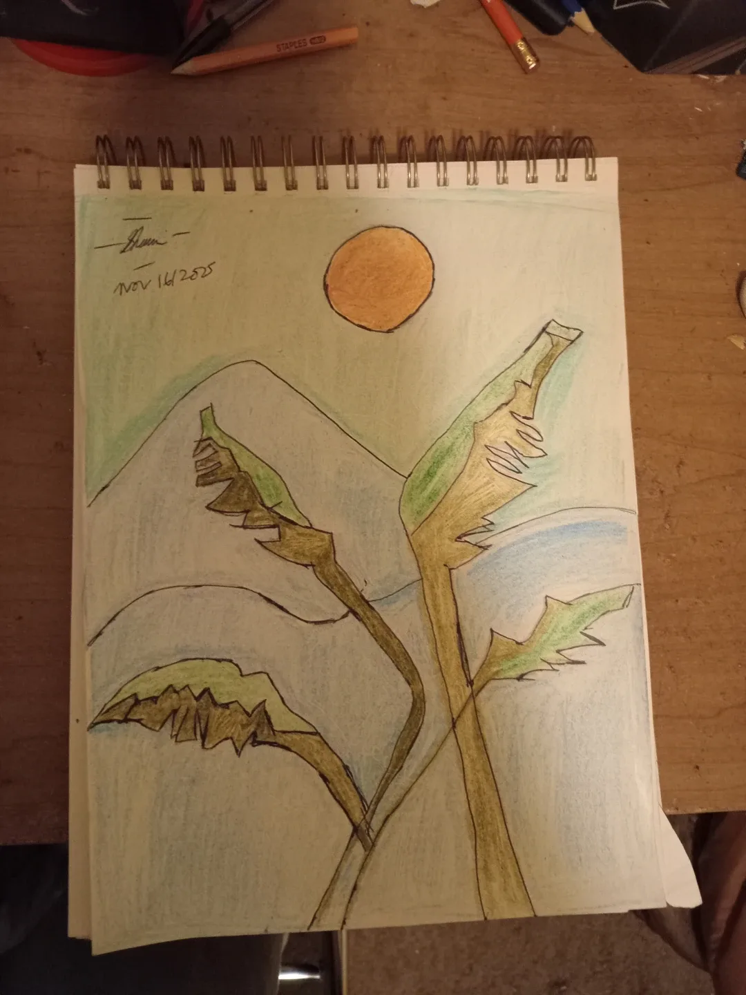 Scenery Drawing Illustration By Custom Artist Sherwin image indicator(5)