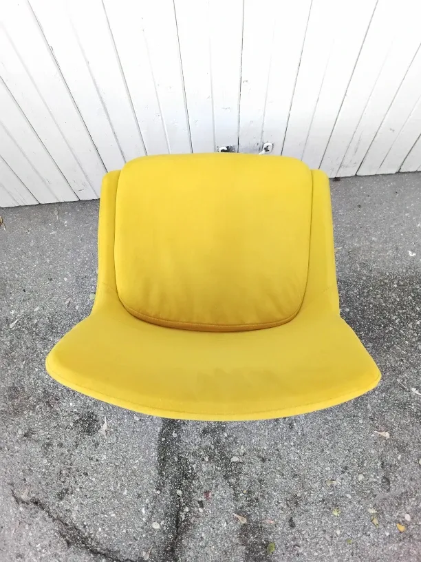 🌝Yellow Velvet Dining Chair🎗 image indicator(6)