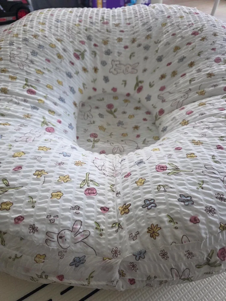 nursing bra, pillow, nipple Shield, baby lounger etc image indicator(7)