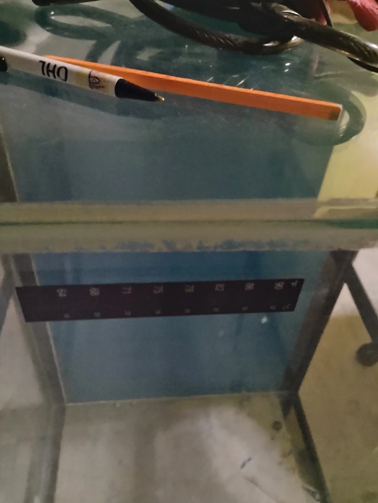 Used fish tank  40 gallon - photo 3