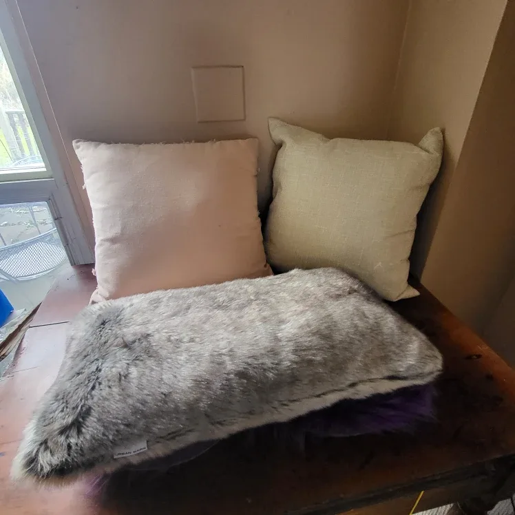 3 Urban Barn Throw Pillows- Used for staging image indicator(2)