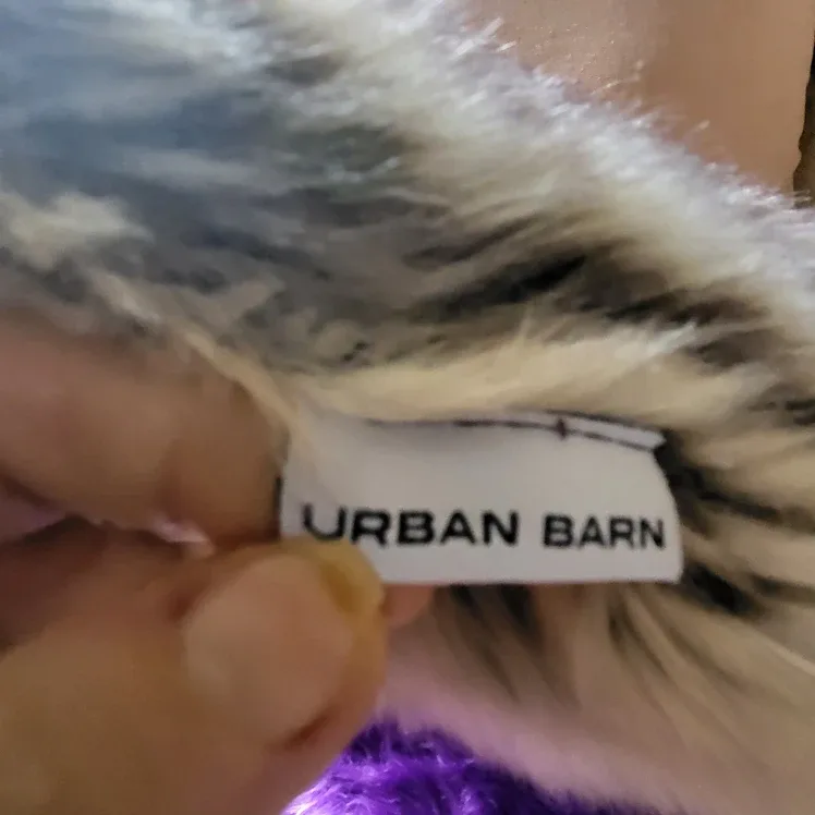 3 Urban Barn Throw Pillows- Used for staging image indicator(4)