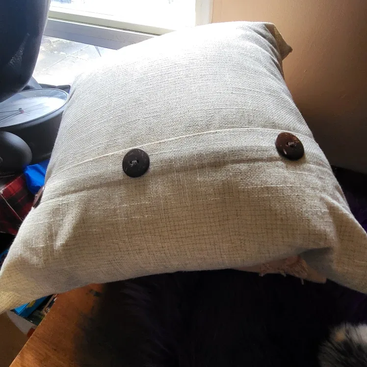 3 Urban Barn Throw Pillows- Used for staging image indicator(7)