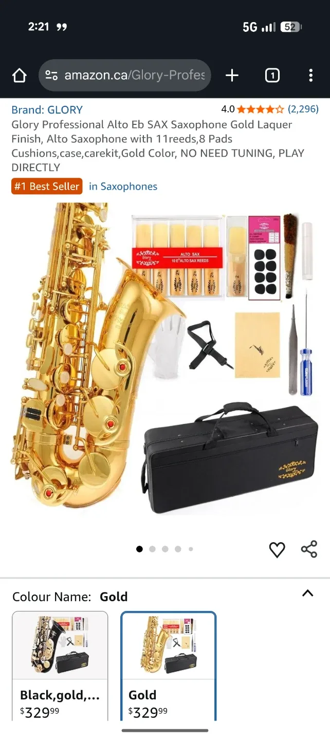 Brand New Glory Professional Gold Lacquer Alto Saxophone image indicator(6)