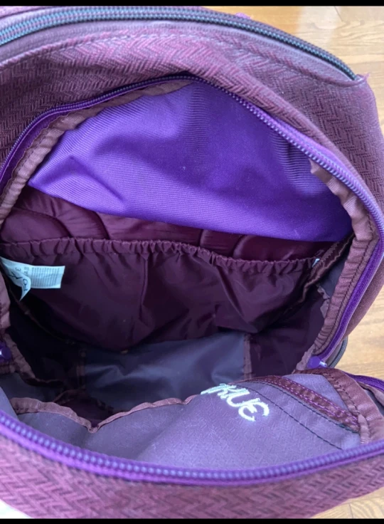 Dakine Purple Backpack - photo 3