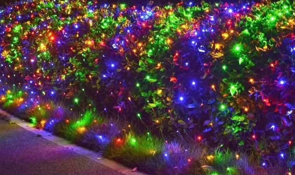 Net light 5 feet by 5 feet brand new $20