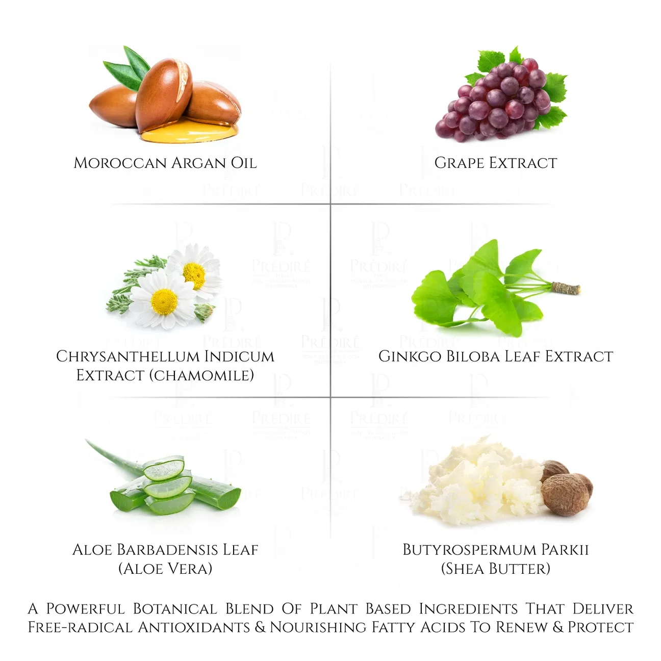 Prédire Black Orchid Transformation Skin Collection image indicator(9)