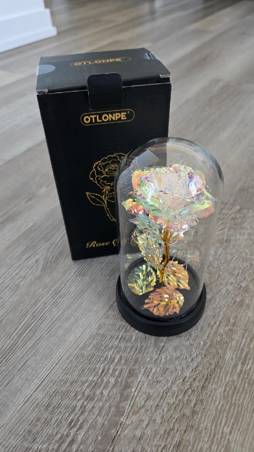 OTLONPE Rose of Love in Glass Dome