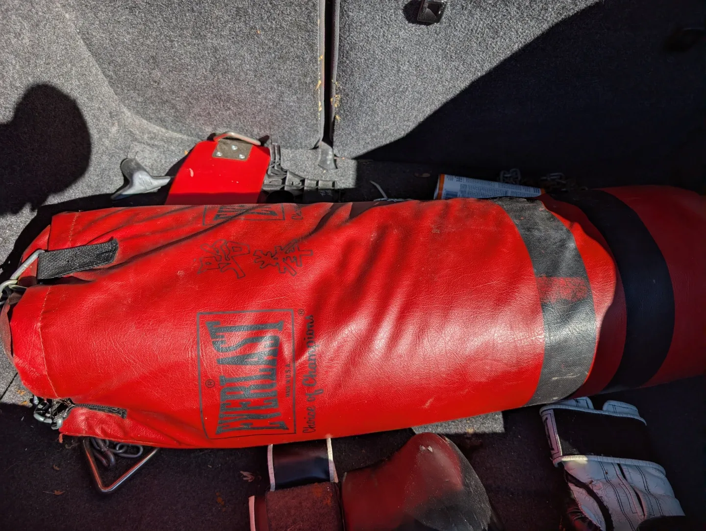 Everlast Boxing Gloves & Punching Bag Set image indicator(2)