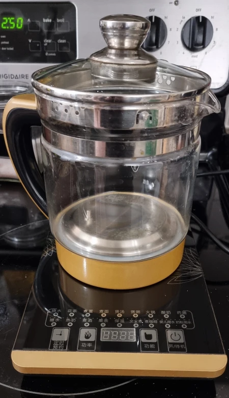 Electric Health Pot Kettle