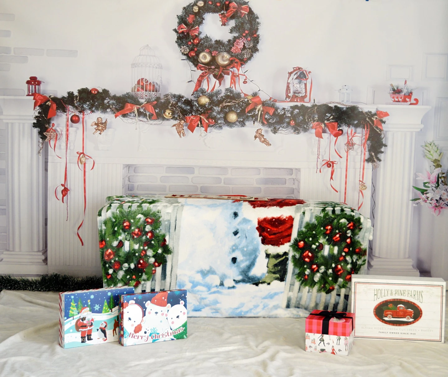 Christmas Minis Outdoor/Indoor Sessions - photo 3