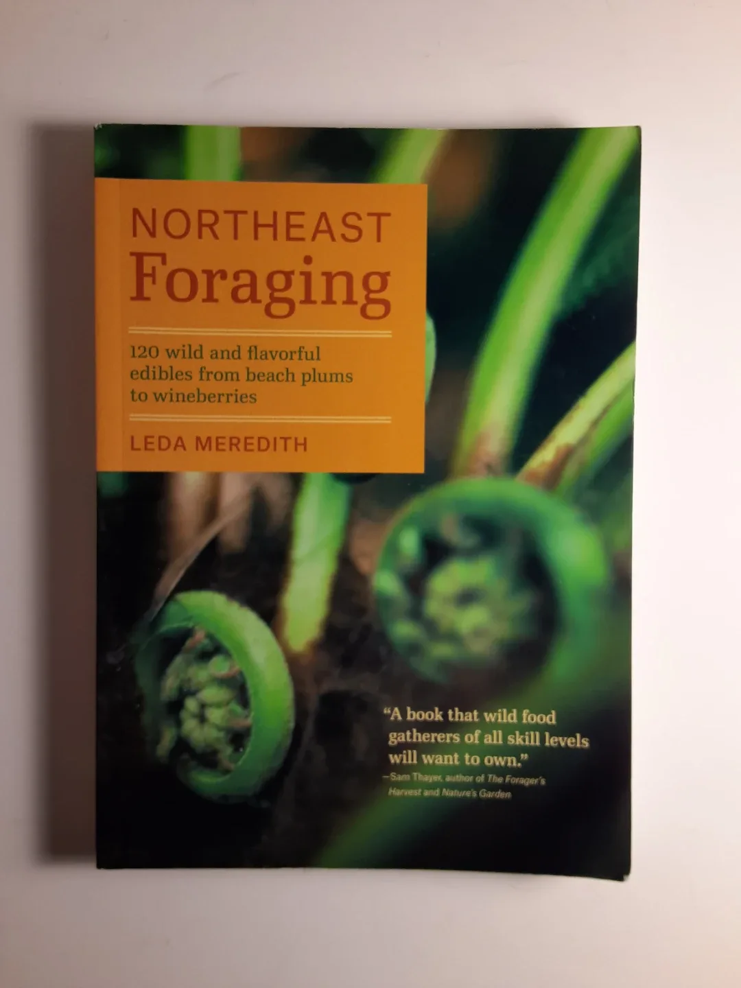 Northeast Foraging by Leda Meredith