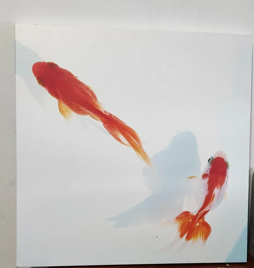 Goldfish Wall Art