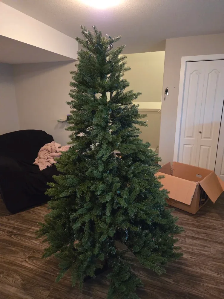 6 ft Christmas tree
