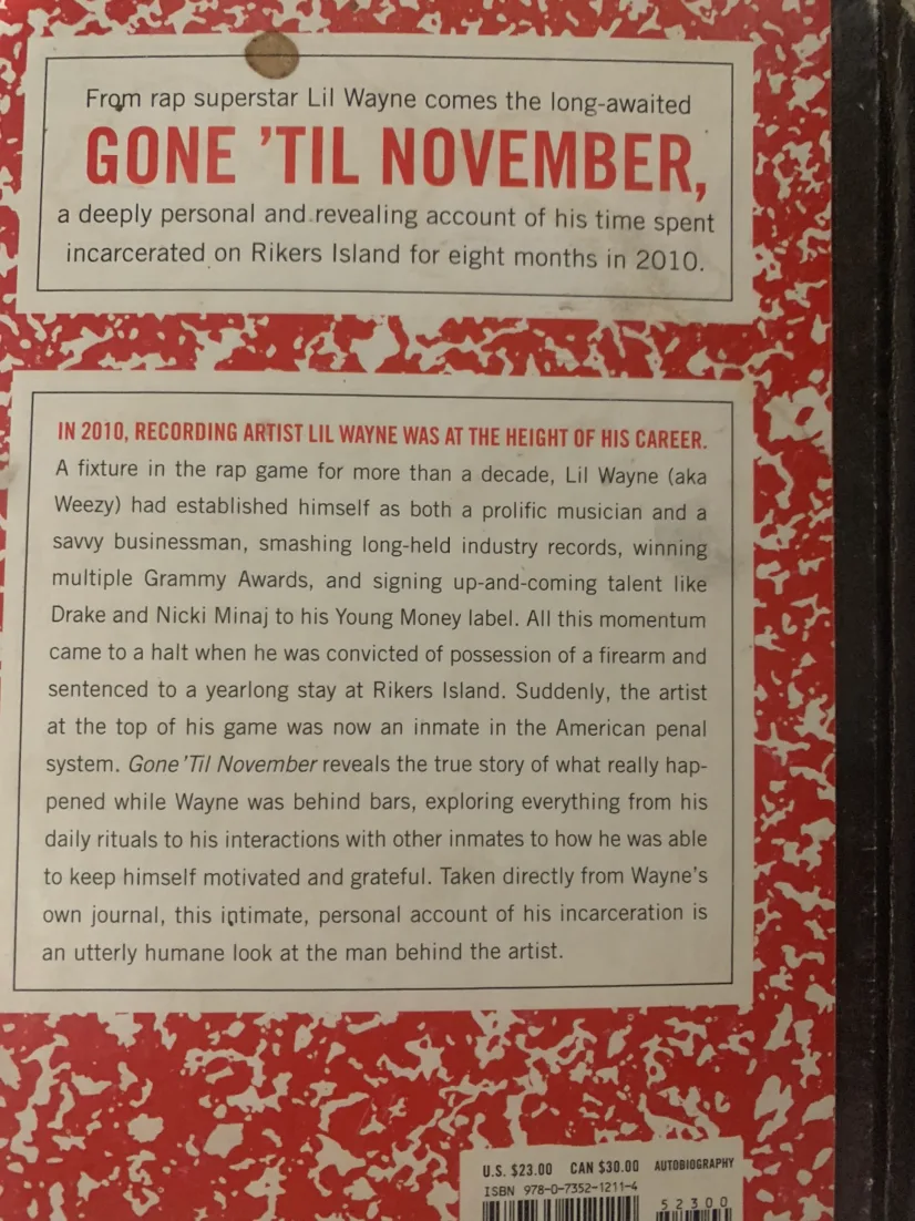 rapper lil Wayne book he wrote in jail image indicator(2)