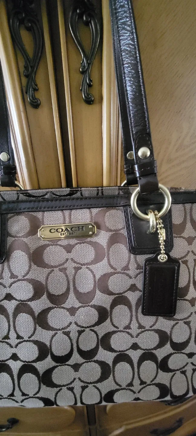 Coach Signature Tote Bag image indicator(2)