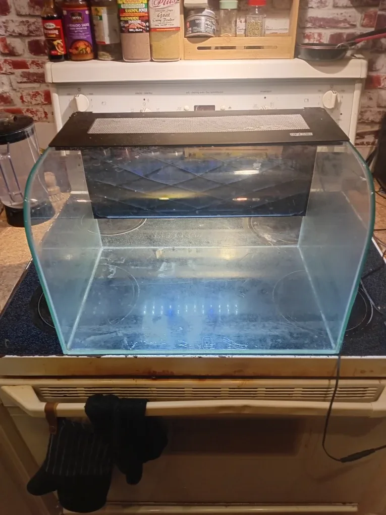 Curved Front  Exo Terra Terrarium