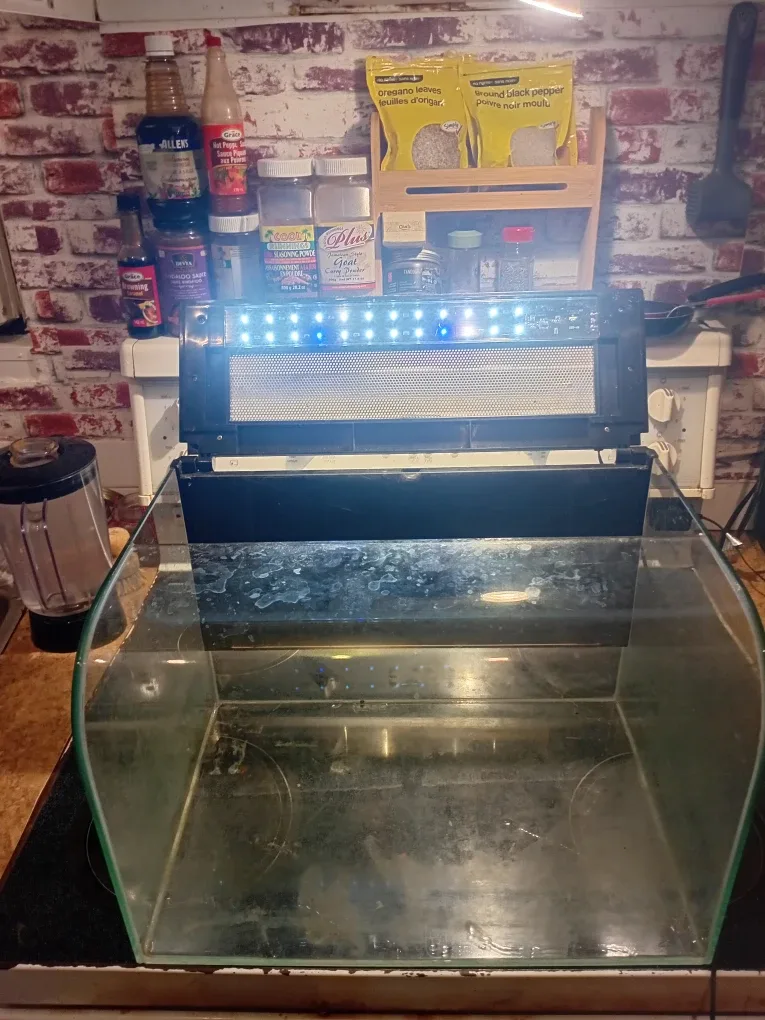 Curved Front  Exo Terra Terrarium image indicator(2)