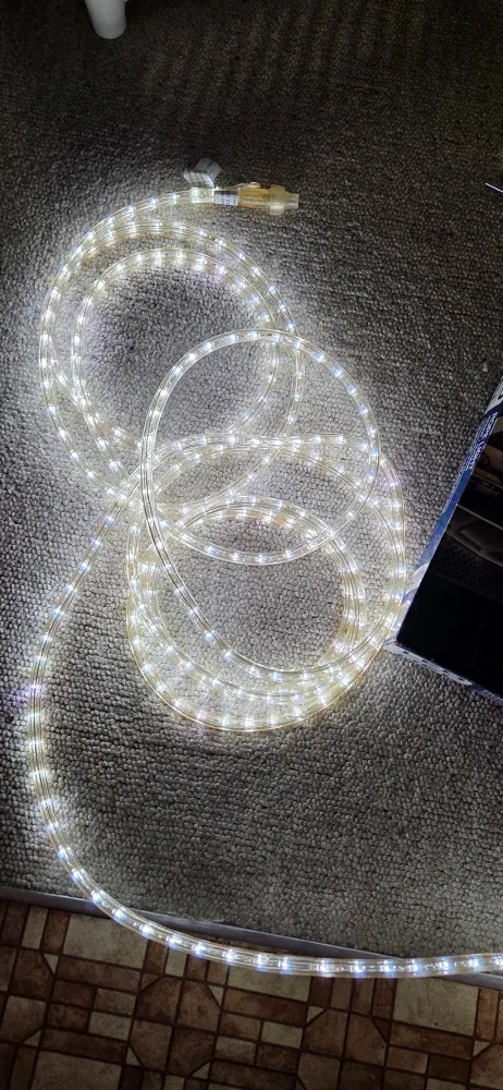 Paradise LED Rope Light 24ft - Indoor/Outdoor