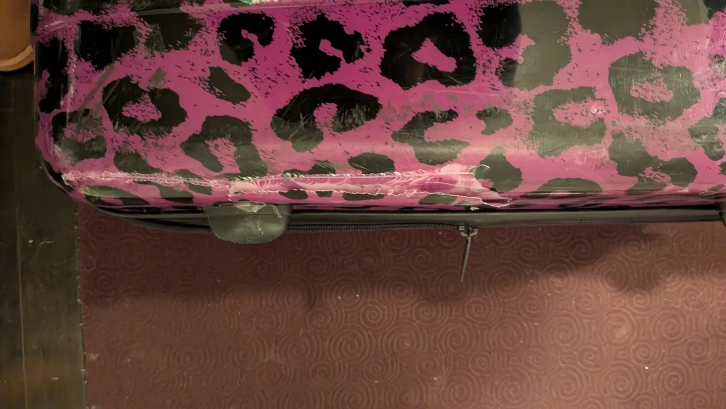 Pink Leopard Print Spunner IT Luggage, 24" image indicator(5)