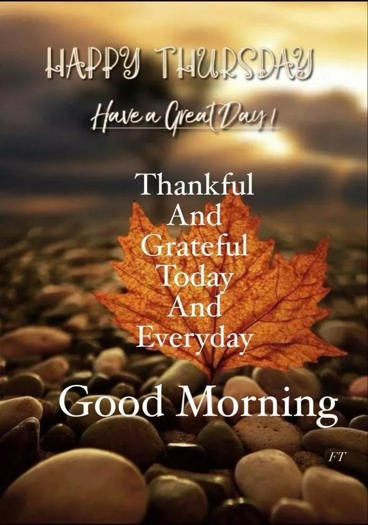 ZMDC Denim Jeans image indicator(3)