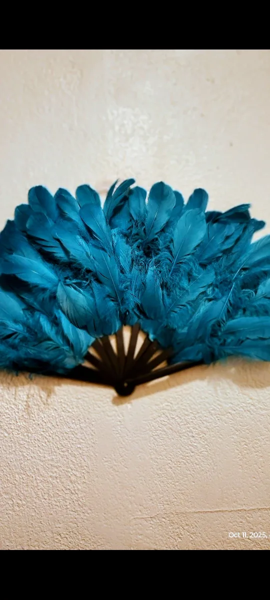 FANS Costume Bohemian feather