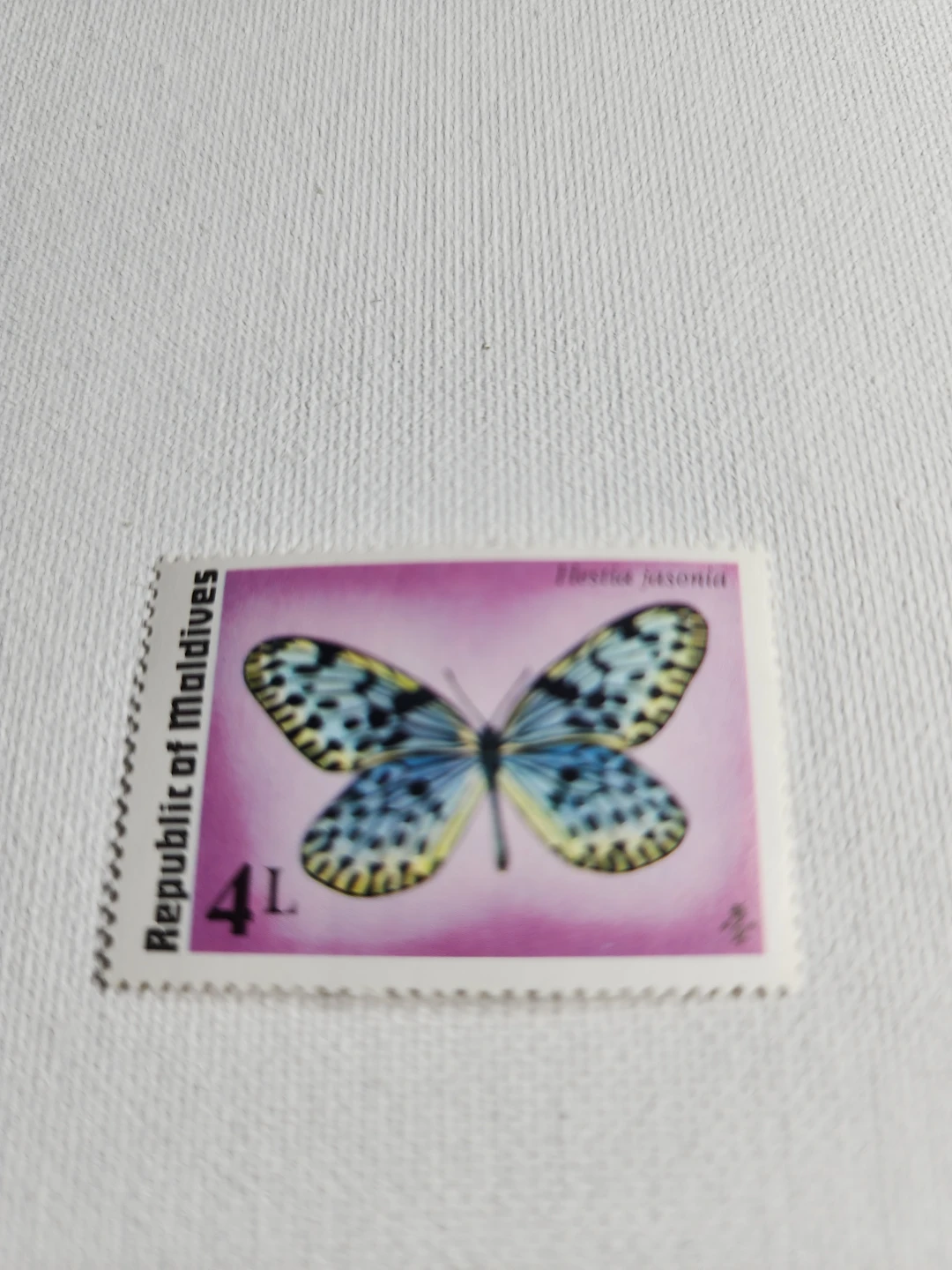 Republic of Maldives Butterfly Stamp