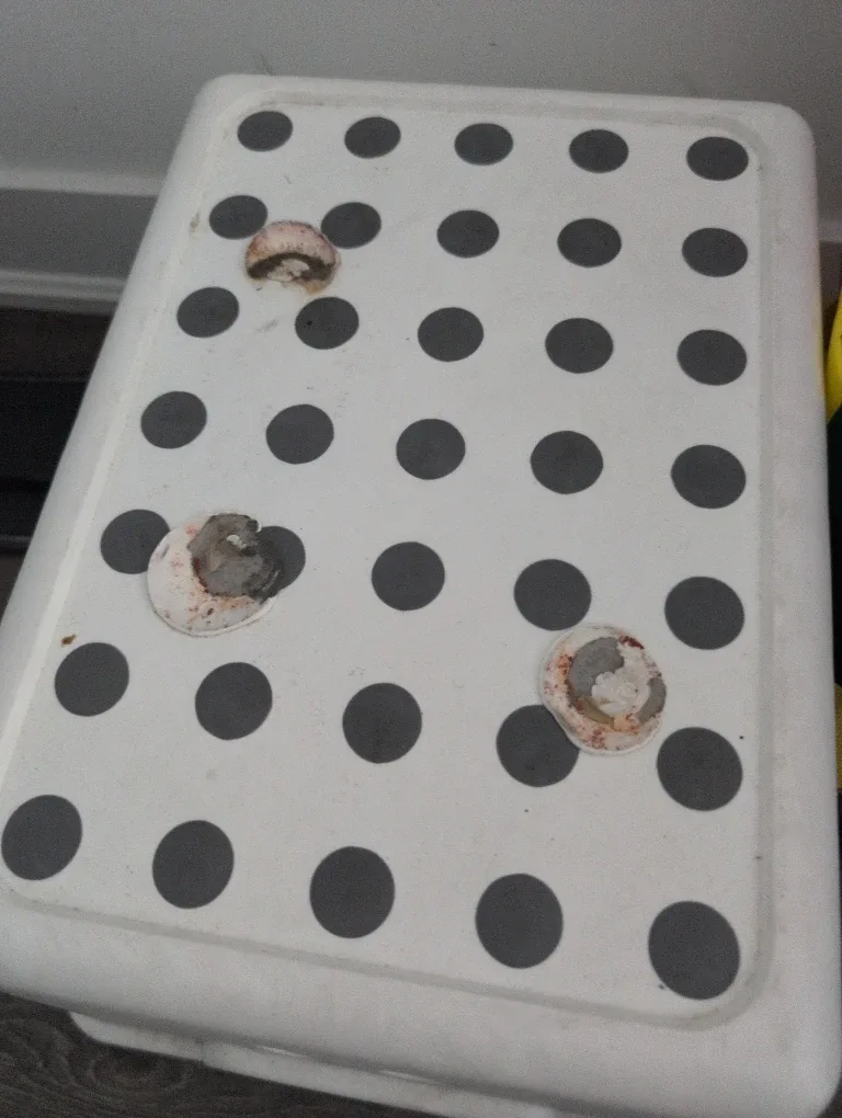 Ikea Bekväm Step Stool image indicator(3)